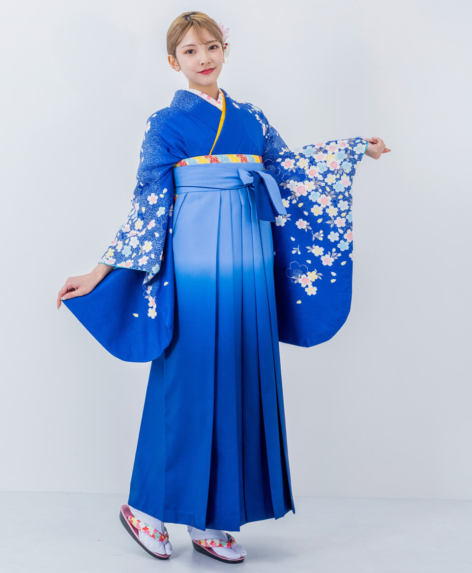 【卒業式袴レンタル】古典爽やか知的(オシャレ)　青/水色　E00020_BLB050
